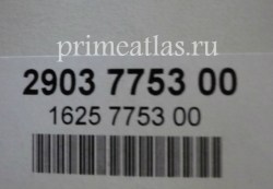 2903775300_1625775300